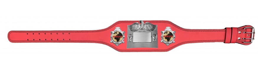 SMALL SILVER EAGLE CUSTOM CHAMPIONSHIP BELT PLT299/S/CUSTOM - AVAILABLE IN 4 COLOURS - BLACK, RED, BLUE, GREEN SMALL SILVER EAGLE CUSTOM CHAMPIONSHIP BELT PLT299/S/CUSTOM - AVAILABLE IN 4 COLOURS - BLACK, RED, BLUE, GREEN